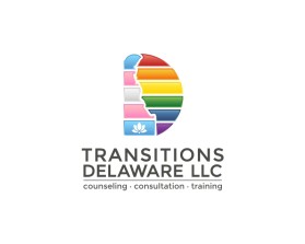 Transitions Delaware llc entry by Tina Takač