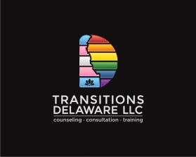 Transitions Delaware llc entry by Tina Takač