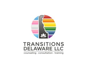 Transitions Delaware llc entry by Tina Takač