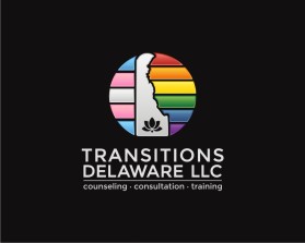 Transitions Delaware llc entry by Tina Takač