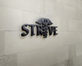 Strive entry by theV3E