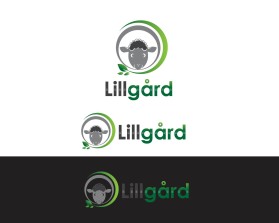 Lillg&aring;rd entry by JBsign