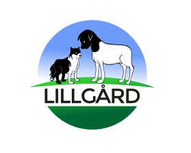 Lillg&aring;rd entry by Raffie