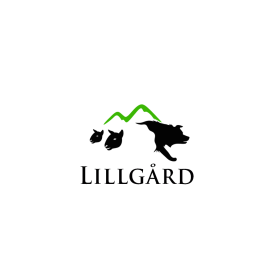 Lillg&aring;rd entry by flousse