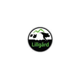 Lillg&aring;rd entry by flousse