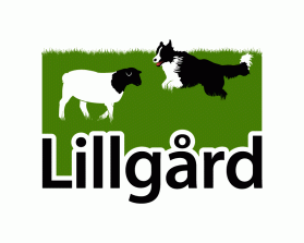 Lillg&aring;rd entry by dsdezign