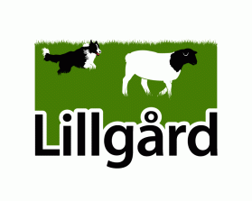 Lillg&aring;rd entry by dsdezign