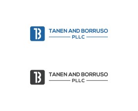 Tanen and  Borruso LLC entry by nsdhyd