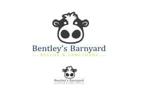 Bentley's Barnyard entry by Aditya Anam Mahendra AP