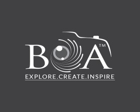 boa or bÅa entry by warren