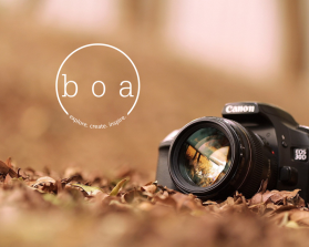 boa or bÅa entry by eudo