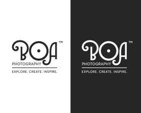 boa or bÅa entry by nsdhyd