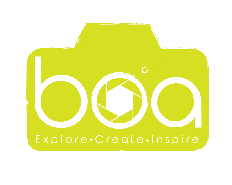 Logo Design for boa or bÅa