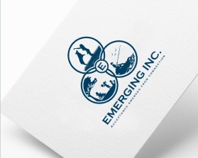 Emerging Inc. entry by Neeraj Bhalla