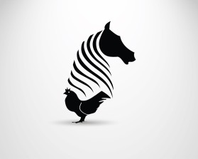 Graphic Design entry 1507228 submitted by MohammedKhirallah