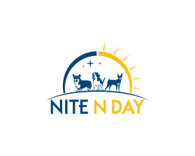 Nite N Day entry by paczgraphics
