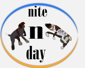 Nite N Day entry by supritybhattacharya