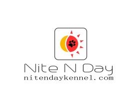 Nite N Day entry by Graphics-X