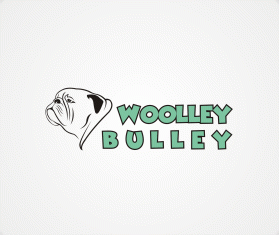 Woolley Bulley entry by wongsanus