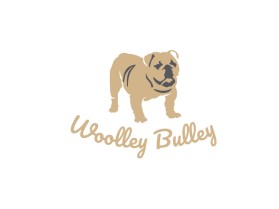Woolley Bulley entry by IND3BT09