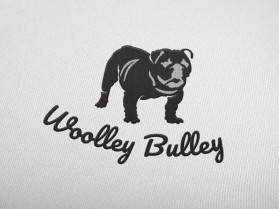Woolley Bulley entry by IND3BT09
