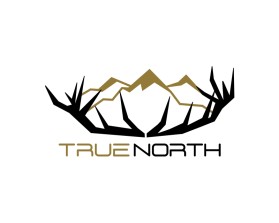 TRUE NORTH entry by BRITTANY MANESS