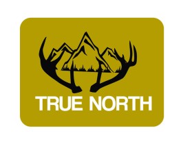 TRUE NORTH entry by Hasnil Siregar