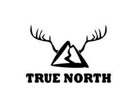 TRUE NORTH entry by Zaenul Yahya