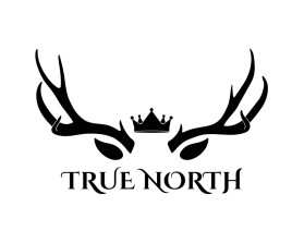 TRUE NORTH entry by BRITTANY MANESS