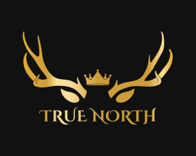 TRUE NORTH entry by BRITTANY MANESS