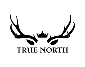 TRUE NORTH entry by BRITTANY MANESS