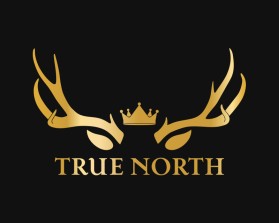 TRUE NORTH entry by BRITTANY MANESS