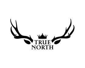 TRUE NORTH entry by BRITTANY MANESS
