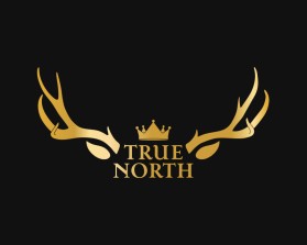 TRUE NORTH entry by BRITTANY MANESS