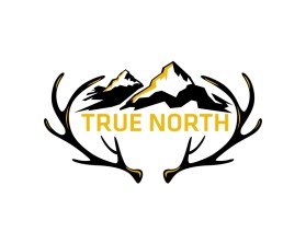 TRUE NORTH entry by shigil k narayanan