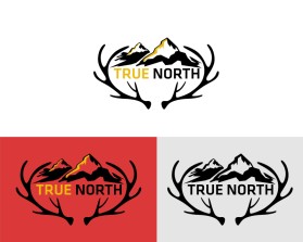 TRUE NORTH entry by shigil k narayanan