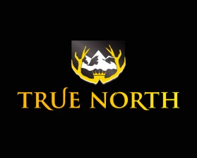 TRUE NORTH entry by Freny Warren L. Maturan