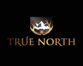 TRUE NORTH entry by Freny Warren L. Maturan