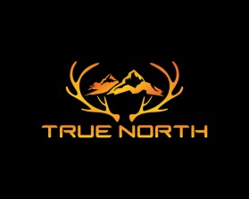 TRUE NORTH entry by shigil k narayanan