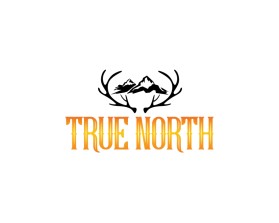 TRUE NORTH entry by shigil k narayanan
