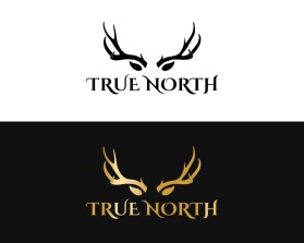 TRUE NORTH entry by BRITTANY MANESS