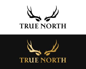 TRUE NORTH entry by BRITTANY MANESS