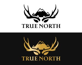 TRUE NORTH entry by BRITTANY MANESS