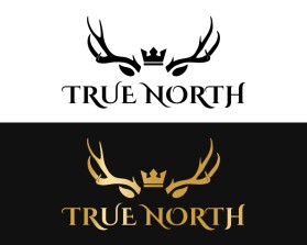 TRUE NORTH entry by BRITTANY MANESS