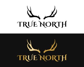 TRUE NORTH entry by BRITTANY MANESS