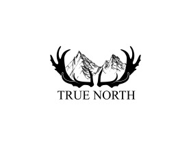 TRUE NORTH entry by budi sugito