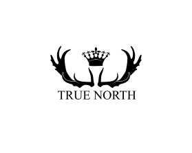 TRUE NORTH entry by budi sugito