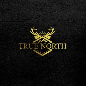 TRUE NORTH entry by idnas