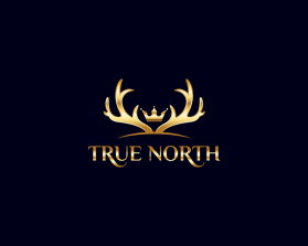 TRUE NORTH entry by Gopalakrishnan I