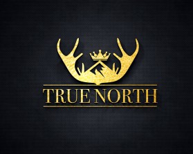 TRUE NORTH entry by Mark Brent Atkinson